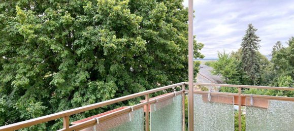 3 rooms Apartment in Auersthal, Austria No. 42145 16