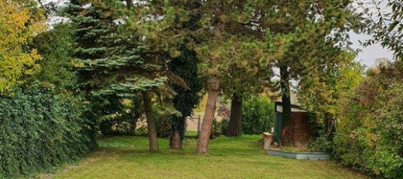 Terreno en Mistelbach, Austria No. 207943 5