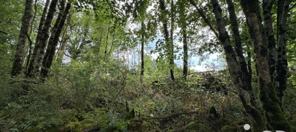 Земельный участок 1195м² в Лот, Франция № 320010 2