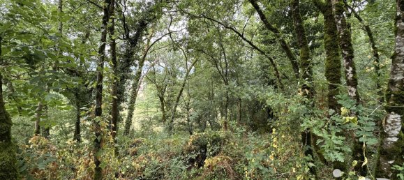 Земельный участок 1195м² в Лот, Франция № 320010 10