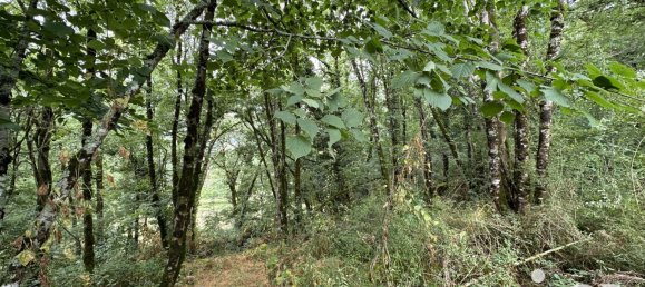 Земельный участок 1195м² в Лот, Франция № 320010 8