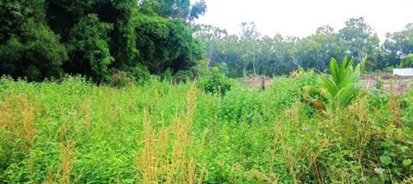 terreno en venta en Pattaya, Chonburi, Eastern Thailand, Thailand № 175371 2
