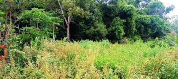 terreno en venta en Pattaya, Chonburi, Eastern Thailand, Thailand № 175371 3