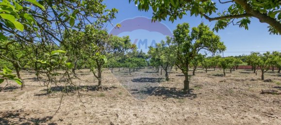 5 bedrooms House in Aveiras de Cima, Portugal No. 21462 46