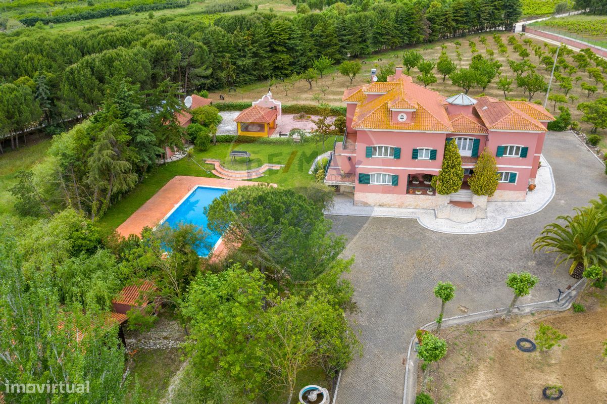 5 bedrooms House in Aveiras de Cima, Portugal No. 21462