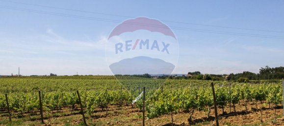 5 bedrooms House in Aveiras de Cima, Portugal No. 21462 39