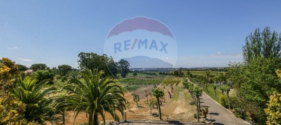 5 bedrooms House in Aveiras de Cima, Portugal No. 21462 42