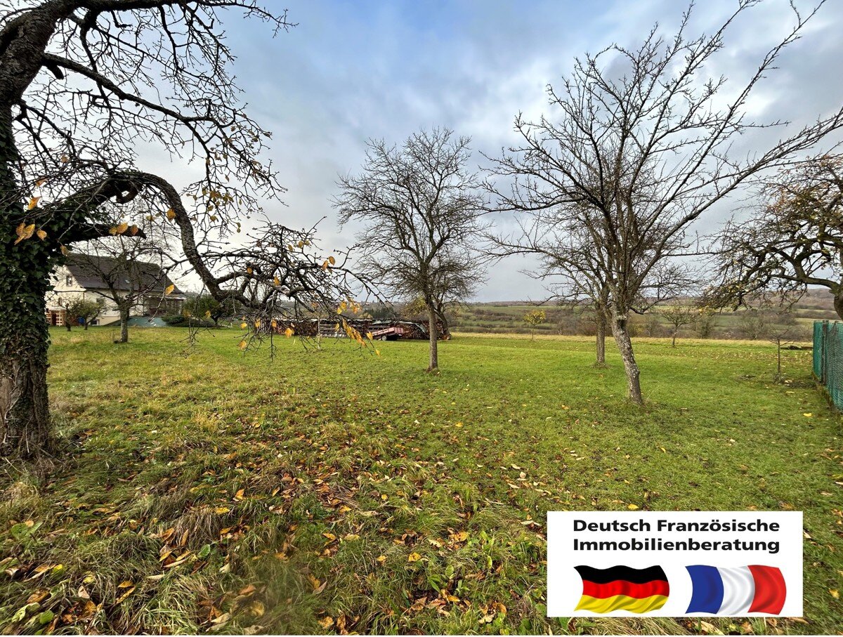 Grundstück in Saarland, Germany, Nr. 25720