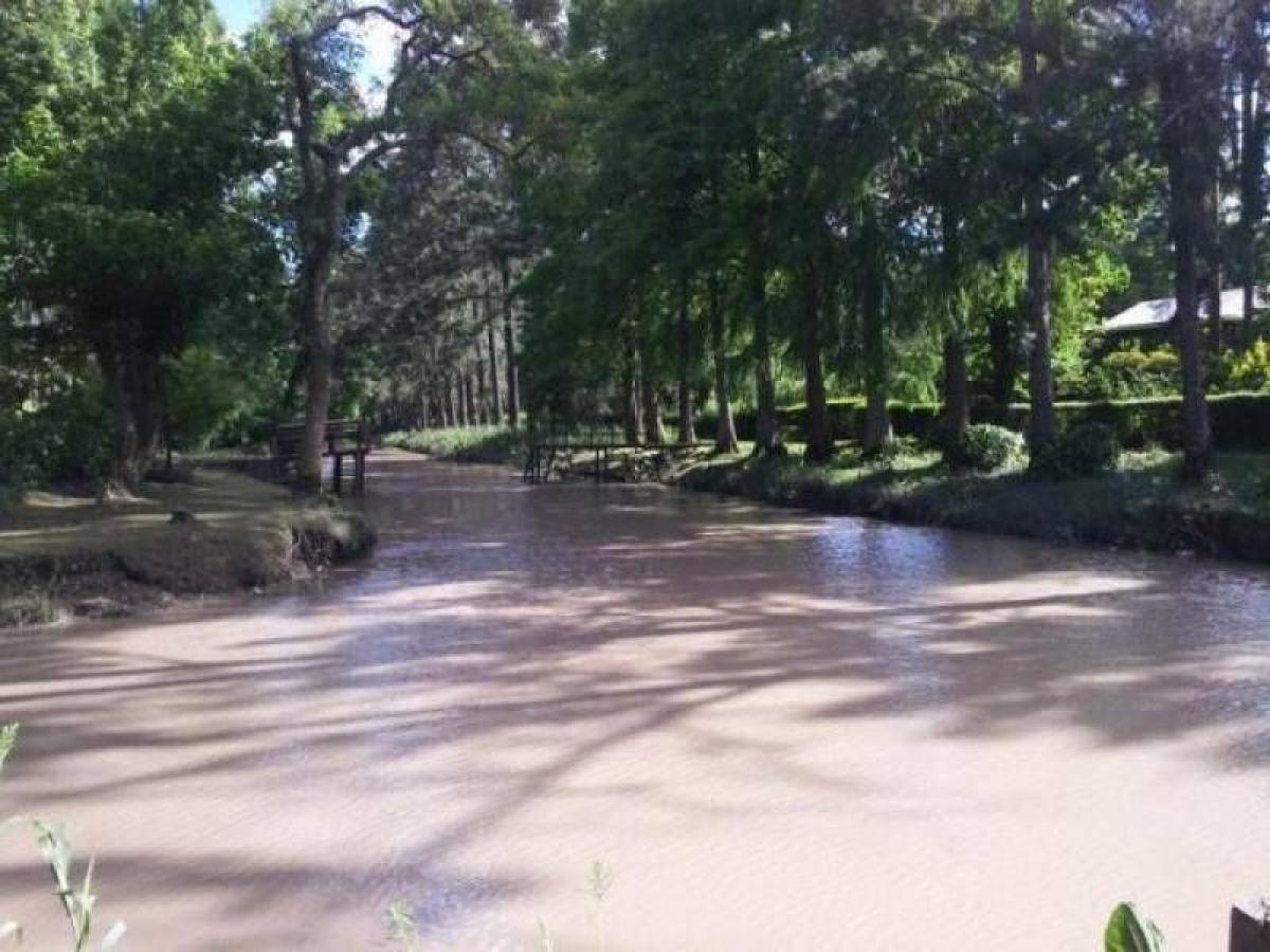 Terreno em Tigre, Argentina N.º 40363