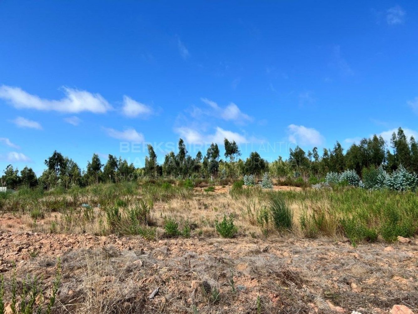 Terreno en Torres Vedras, Portugal No. 303106