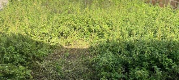 300m² Office in Seine-Maritime, France No. 297321 7