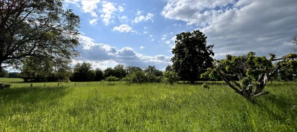2 Schlafzimmer Haus in Augy-sur-Aubois, France, Nr. 88312 7