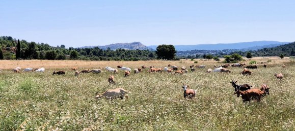 Terreno en Thezan-des-Corbieres, France 315 m² No. 104598 18