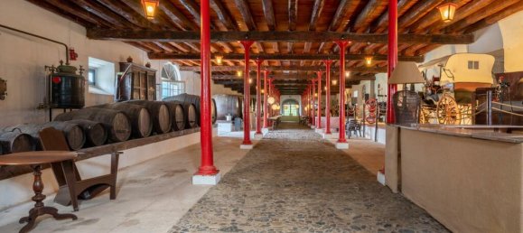 20 Schlafzimmer Haus in Nazare, Portugal, Nr. 124711 23