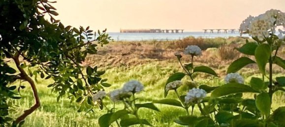 Apartamento T3 em Puerto De Sagunto, Spain N.º 137473 19