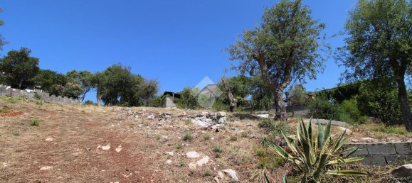 2 rooms House in Vibonati, Italy No. 268718 13