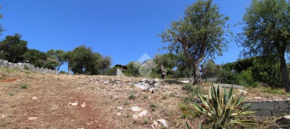 2 rooms House in Vibonati, Italy No. 268718 6