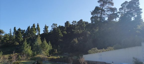 3 Schlafzimmer Gewerbliche Immobilie in Chalkidiki, Greece, Nr. 4352 23