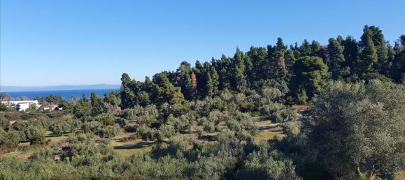 3 Schlafzimmer Gewerbliche Immobilie in Chalkidiki, Greece, Nr. 4352 25