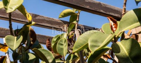 Penthouse T2 em Sants-Montjuic, Spain N.º 134256 21