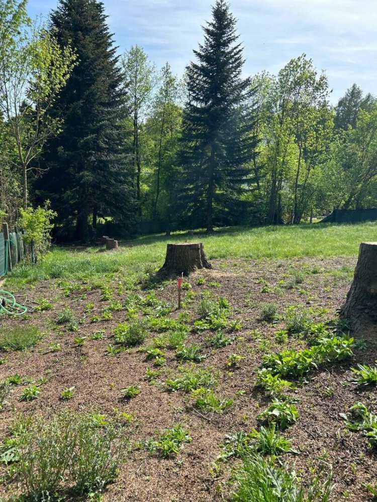 Grundstück in Eichgraben, Austria 1026m², Nr. 84583