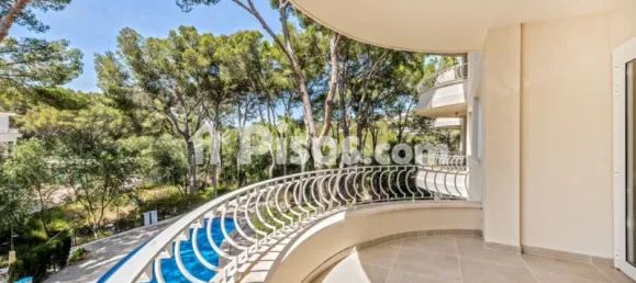 1 bedroom Apartment in Sol De Mallorca, Spain No. 173895 11
