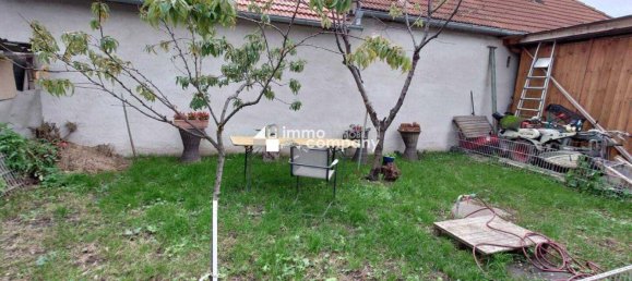 Bungalow de 5 divisões em Frauenkirchen, Austria N.º 96761 8