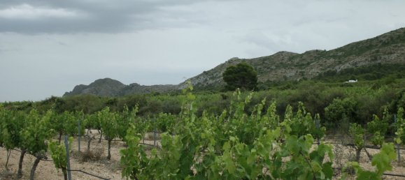 Villa T6 em Yecla, Spain N.º 6730 15