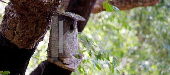 Casa de 5 dormitorios en Benavente, Portugal No. 51375 14