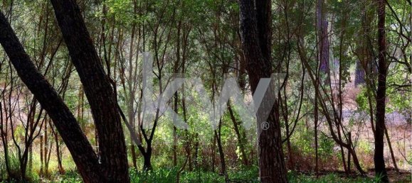Casa de 5 dormitorios en Benavente, Portugal No. 51375 12