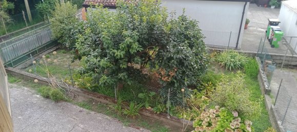 6-salle Maison à Porto Tolle, Italy No. 296046 8