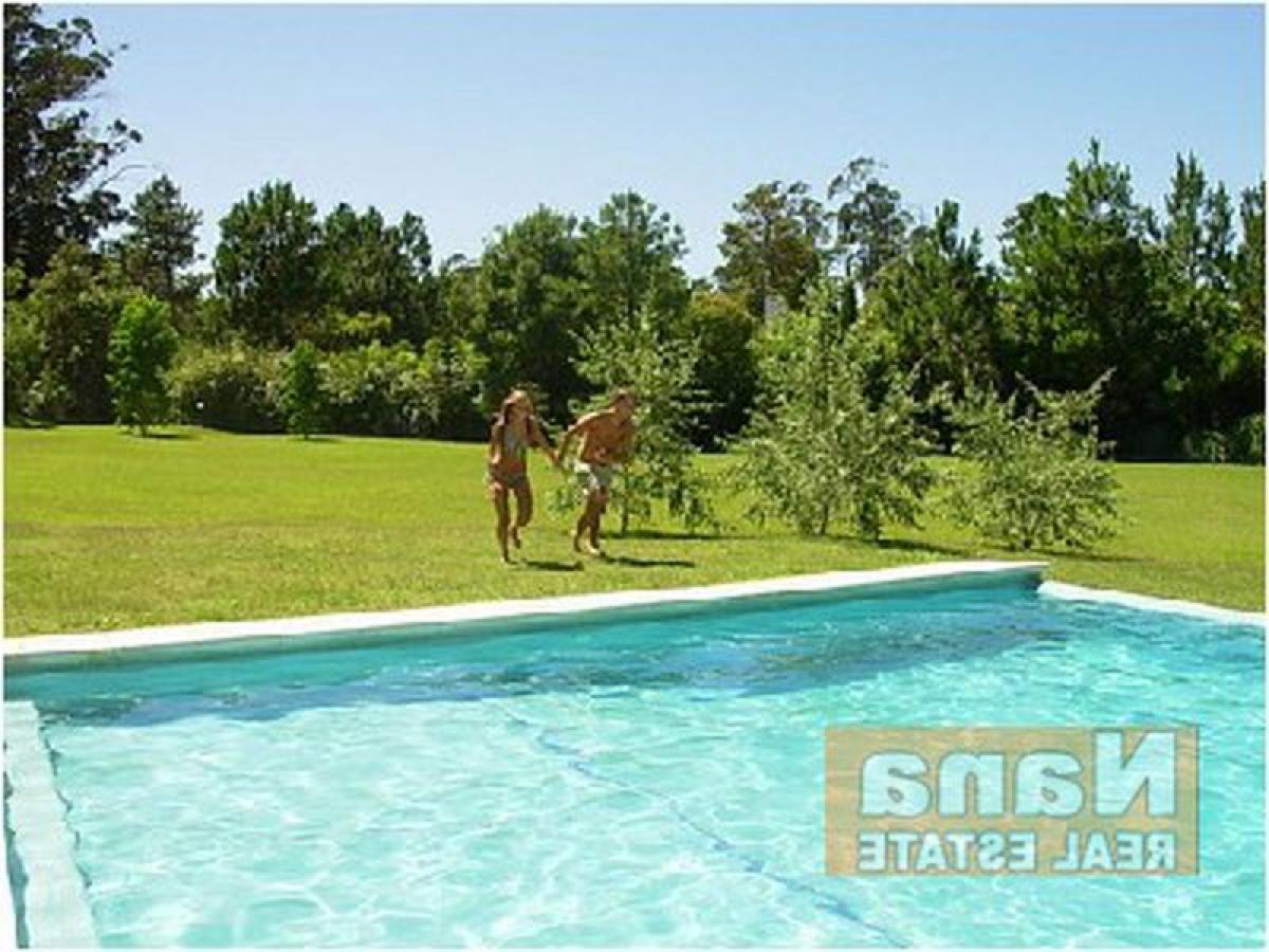 5 chambres Maison à Maldonado, Uruguay No. 12740