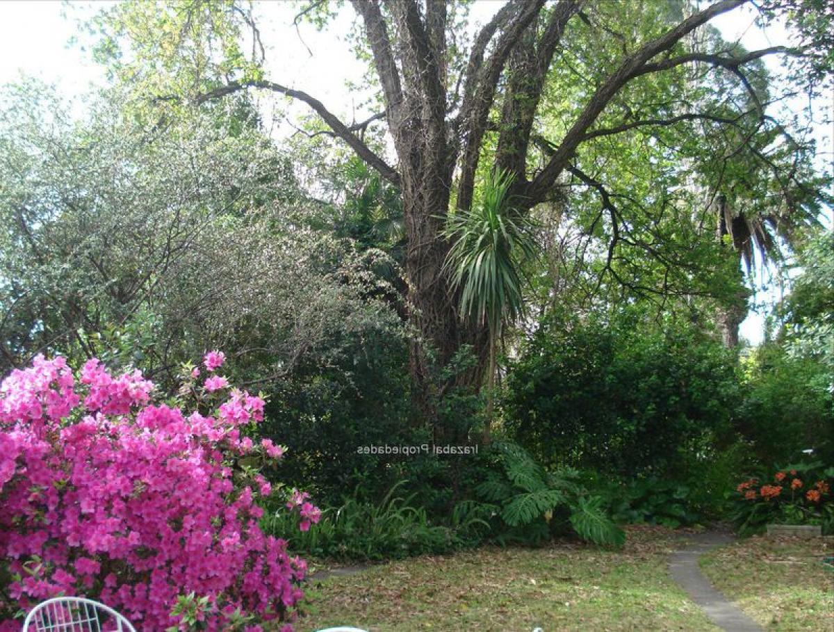 3 bedrooms House in Montevideo, Uruguay No. 8780