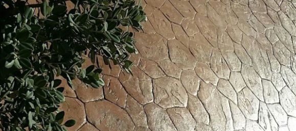 2 rooms Apartment in Santa Teresa Gallura, Italy No. 251996 13