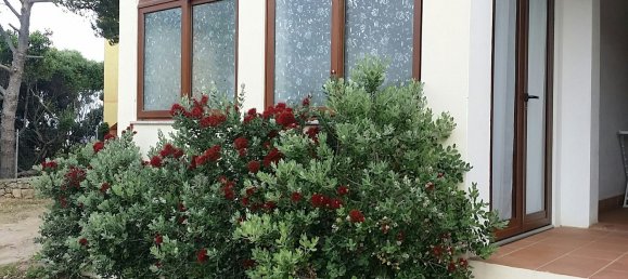 2 rooms Apartment in Santa Teresa Gallura, Italy No. 251996 22