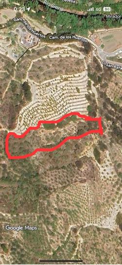 5000m² Land in Granada, Spain No. 229369