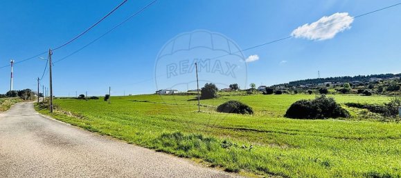 136400m² Land in Alenquer, Portugal No. 81521 5
