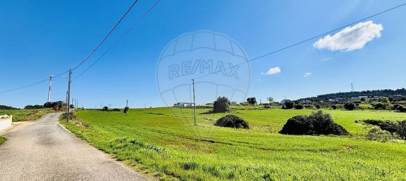 136400m² Land in Alenquer, Portugal No. 81521 3