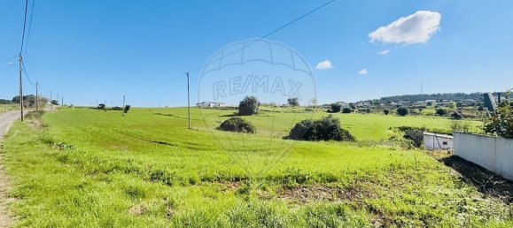 136400m² Land in Alenquer, Portugal No. 81521 2