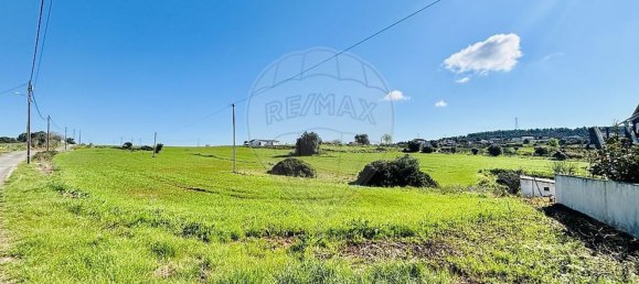 136400m² Land in Alenquer, Portugal No. 81521 13