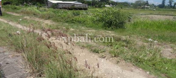 Terrain à Gianyar, Indonesia 1875m² No. 3833 7