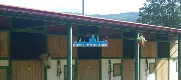 3غرفة فيلا في Sambuca di Sicilia, Italy رقم 221957 5