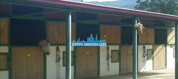 3غرفة فيلا في Sambuca di Sicilia, Italy رقم 221957 32