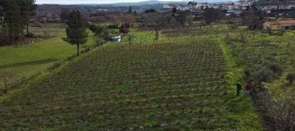 Земельный участок 15500м² в Orjais, Португалия № 140591 6