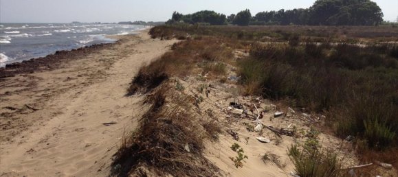 14000m² Hotel in Elis, Greece No. 7815 3