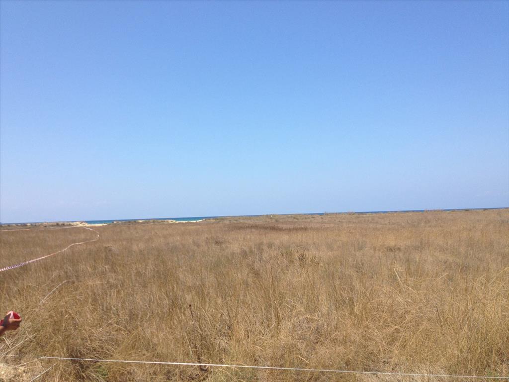 14000m² Hotel in Elis, Greece No. 7815