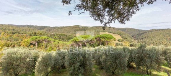 4 bedrooms House in San Gimignano, Italy No. 179158 25