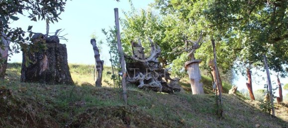 4 bedrooms House in San Gimignano, Italy No. 179158 13