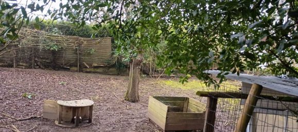 1 room Land in Maine-et-Loire, France No. 194924 3