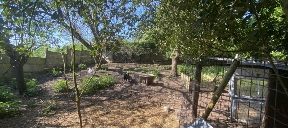 1 room Land in Maine-et-Loire, France No. 194924 4